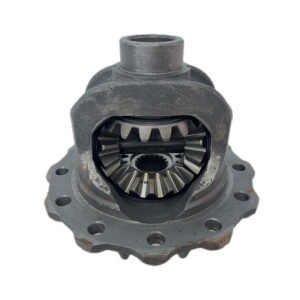 Differential Gear Parts